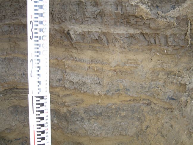  2006:09:14 02:50:41   AbandonedCh2a - interlaminated medium sand and mud - photo 1.jpg